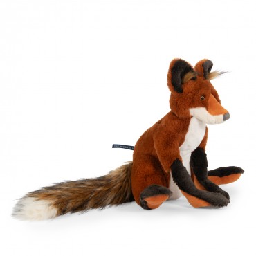 Le renard Tout autour du...